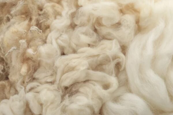 ALMOHADA LANA ALPACA - Imagen 5