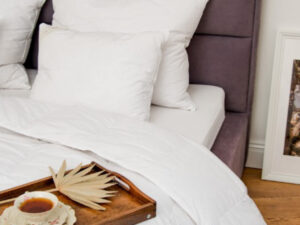 ALMOHADA BASIC PLUS