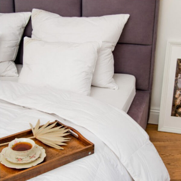 ALMOHADA BASIC PLUS