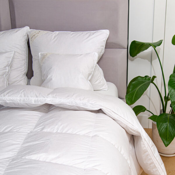 ALMOHADA PRESTIGE LUXSON