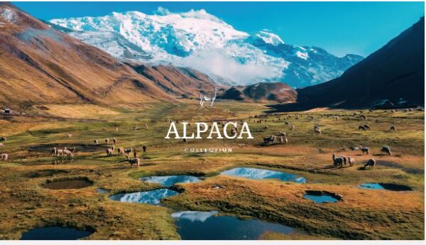 ALMOHADA LANA ALPACA - Imagen 3