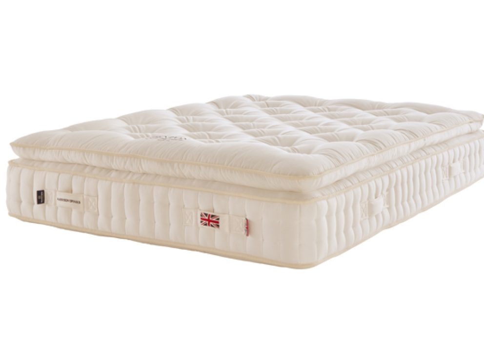 DENTON 10000 - Imagen 5