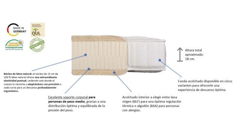 MEDIFORM CARACTERISTICAS NÚCLEO